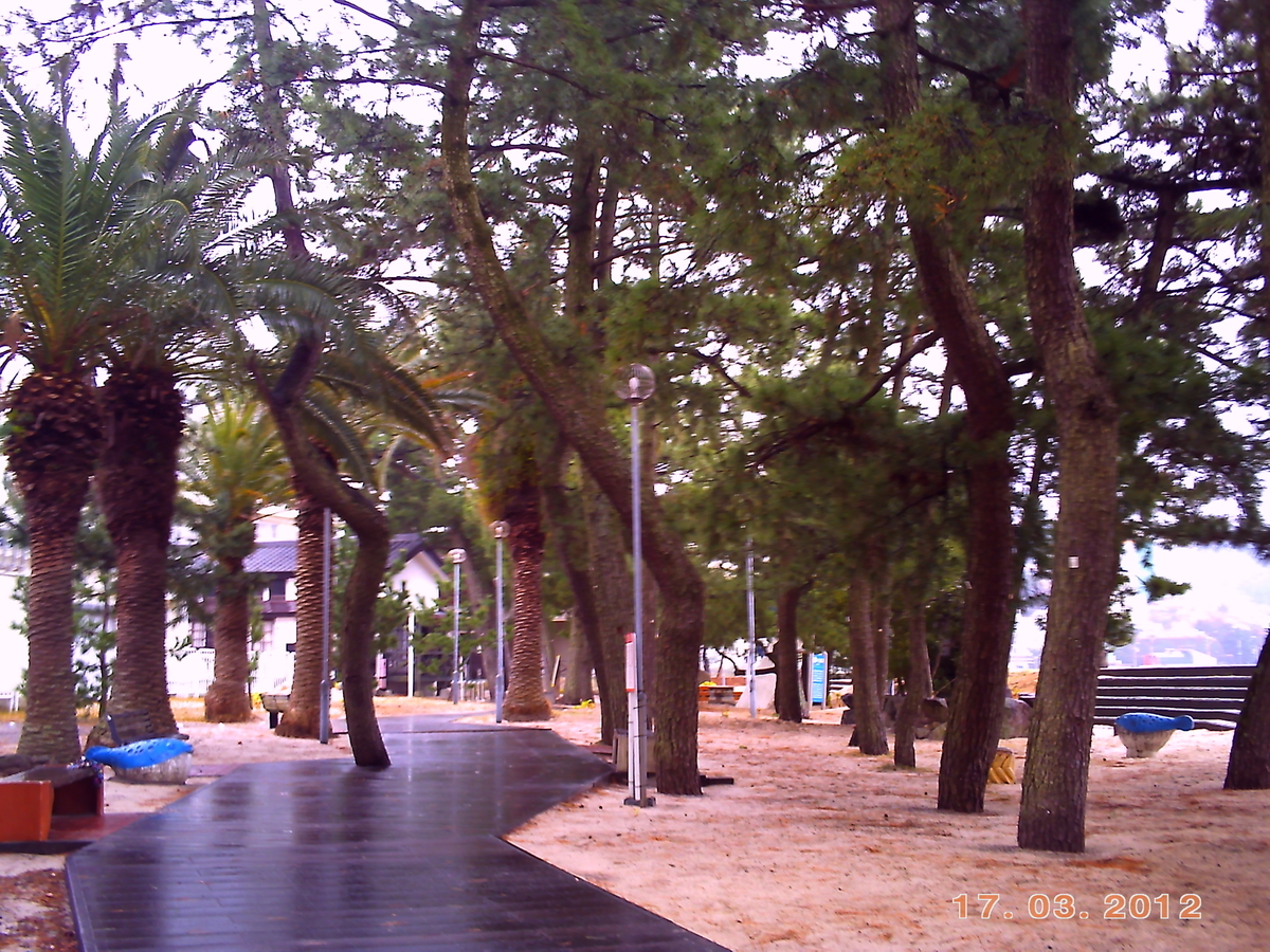 f:id:amikic:20200727142847j:plain