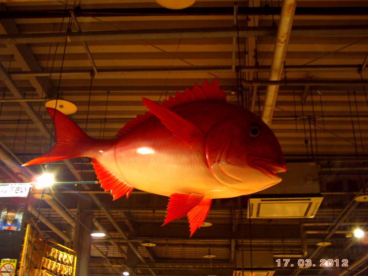 f:id:amikic:20200727143053j:plain