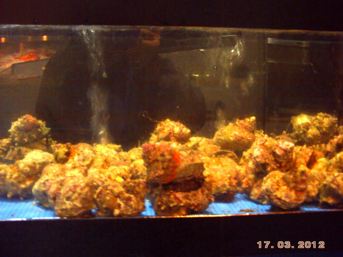 f:id:amikic:20200727143207j:plain