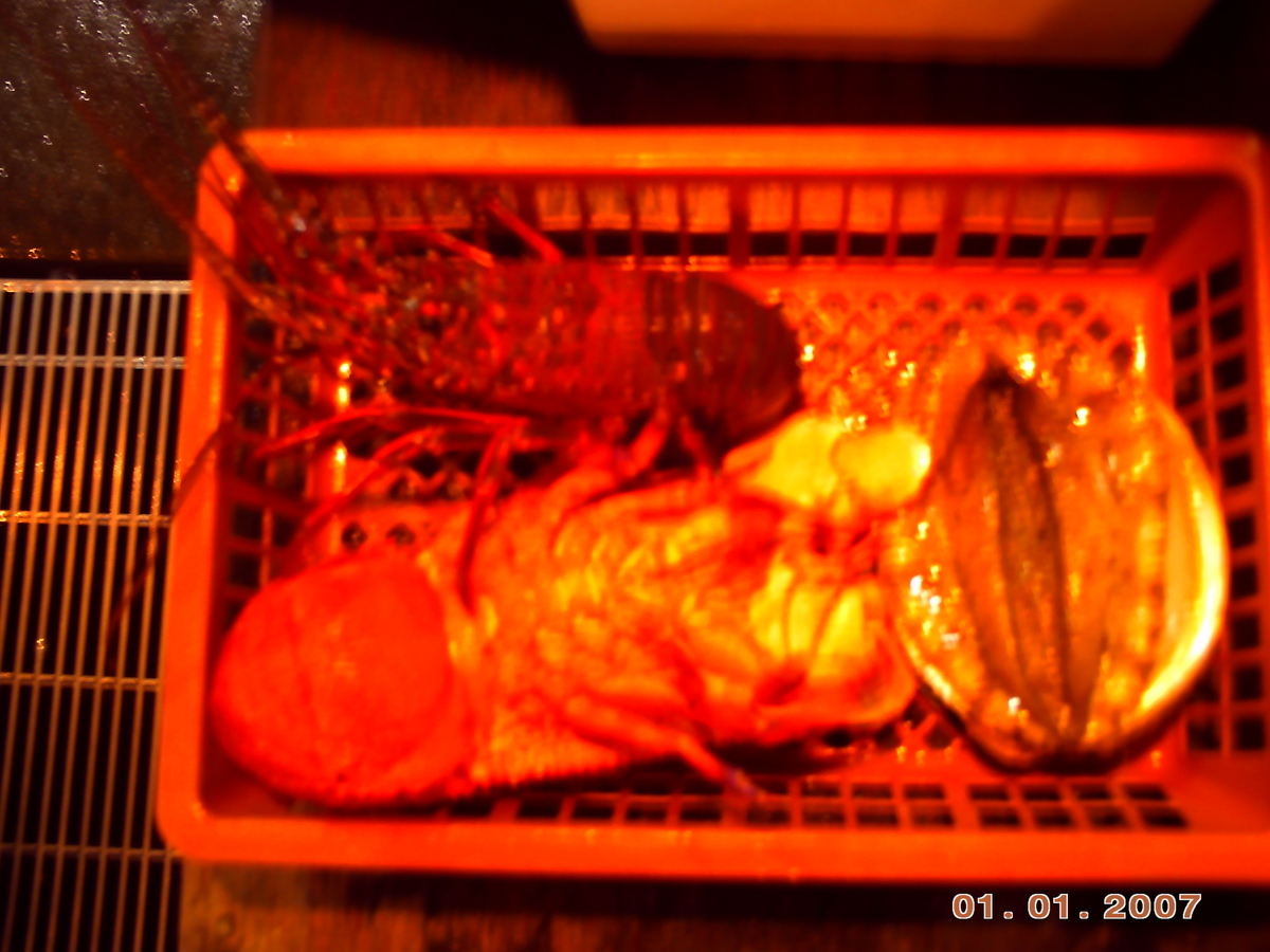 f:id:amikic:20200727144305j:plain