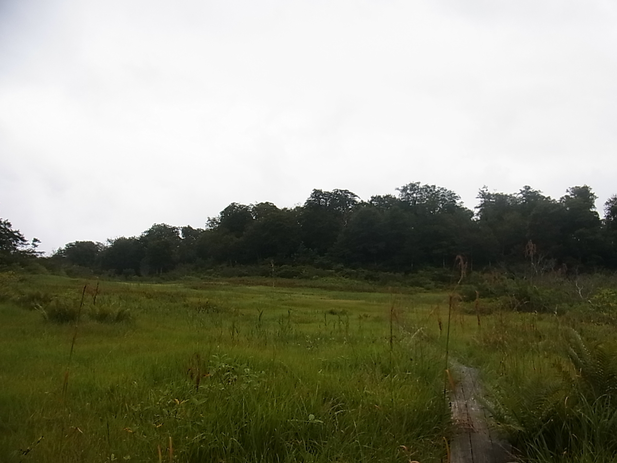 f:id:amikic:20201014114022j:plain