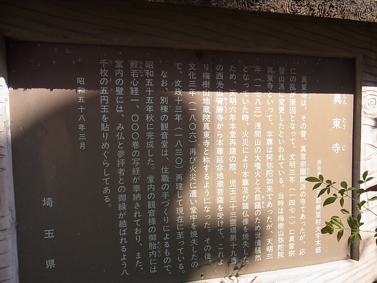 f:id:amikic:20210322155121j:plain