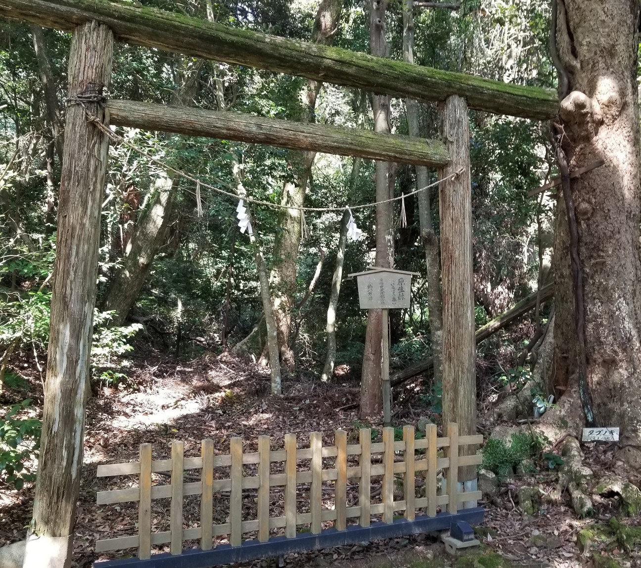 f:id:amiko20180912:20181005114625j:image f:id:amiko20180912:20181005114625j:image
