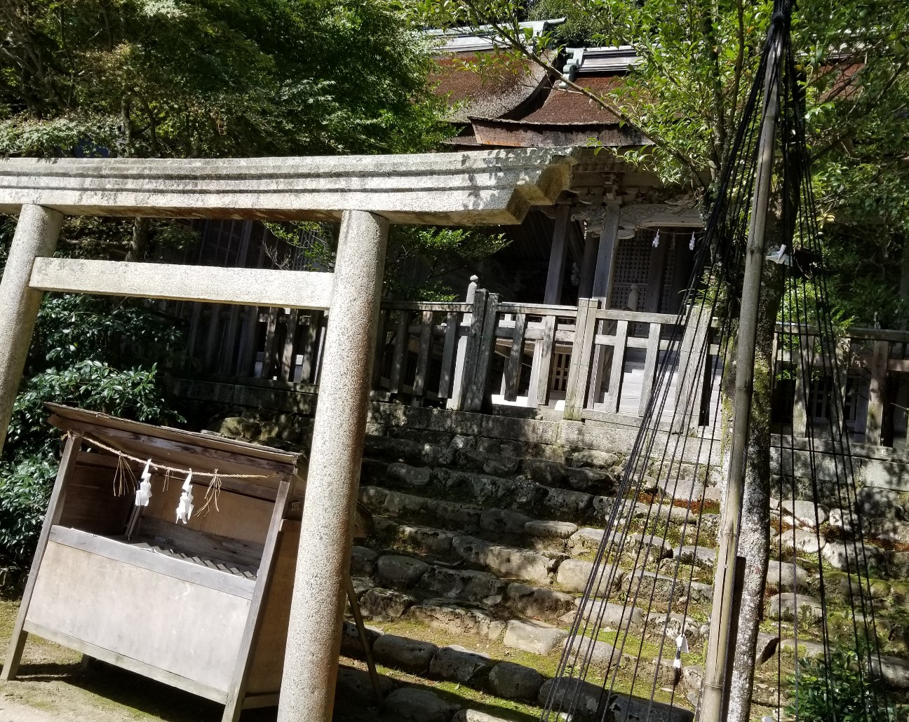f:id:amiko20180912:20181005114808j:image f:id:amiko20180912:20181005114808j:image