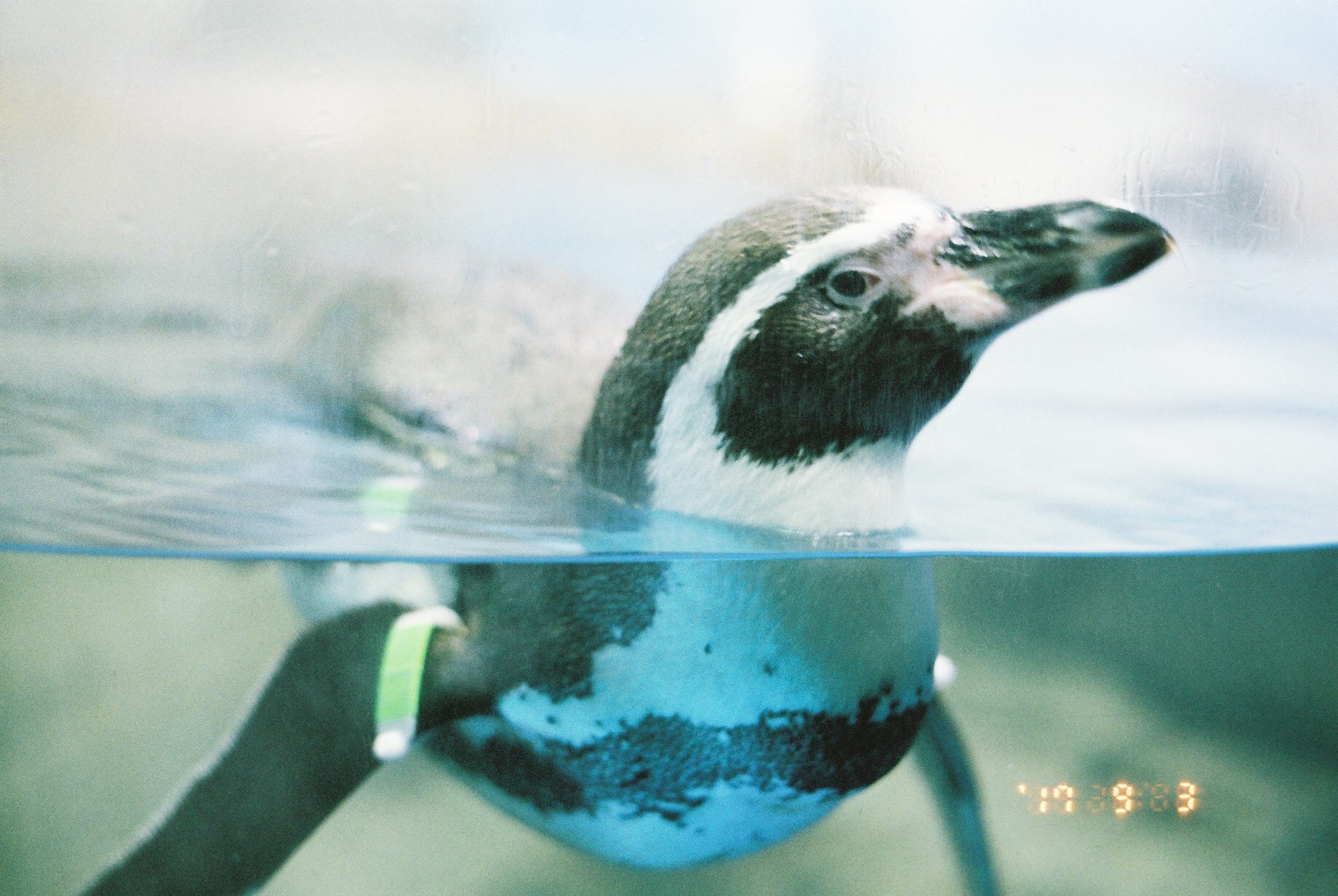 f:id:amilamia:20170914000410j:image