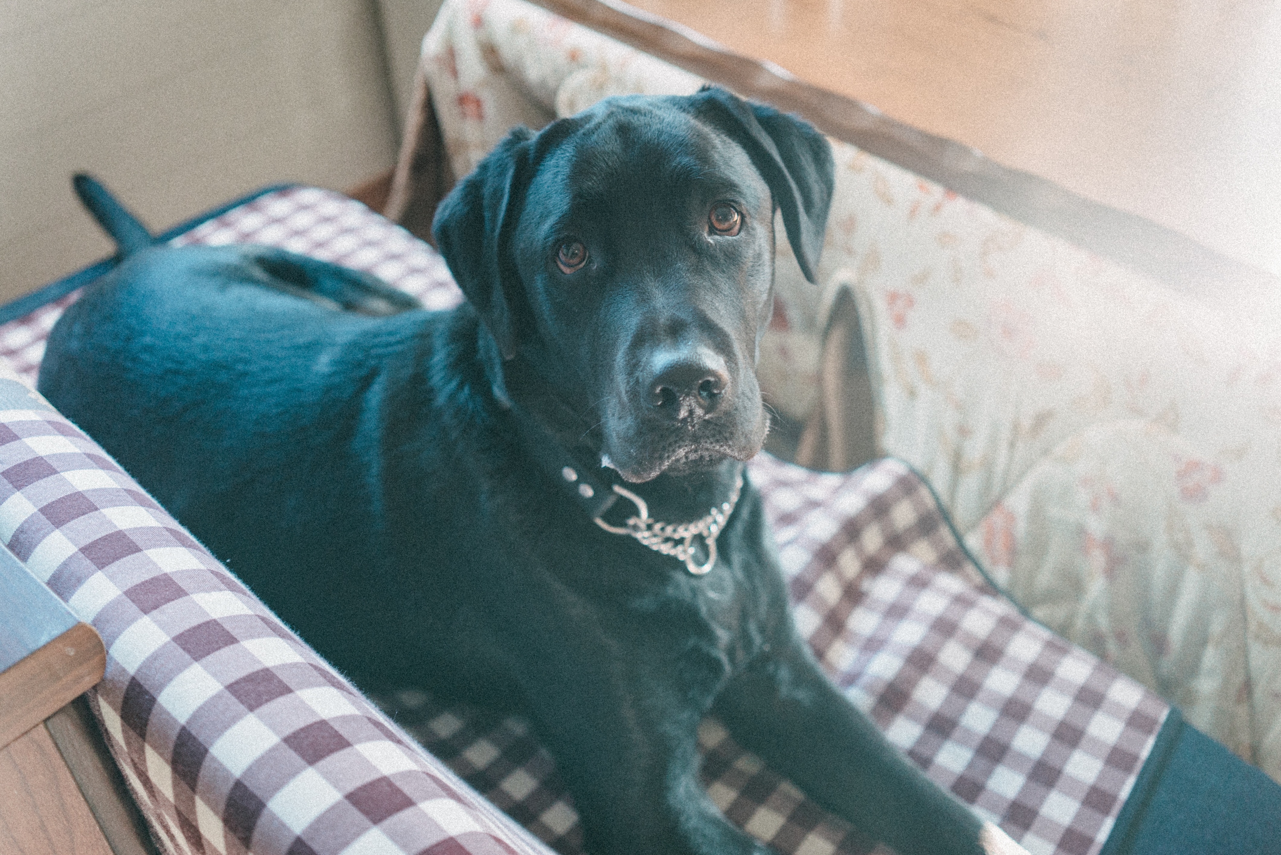 f:id:amilamia:20180103222642j:image