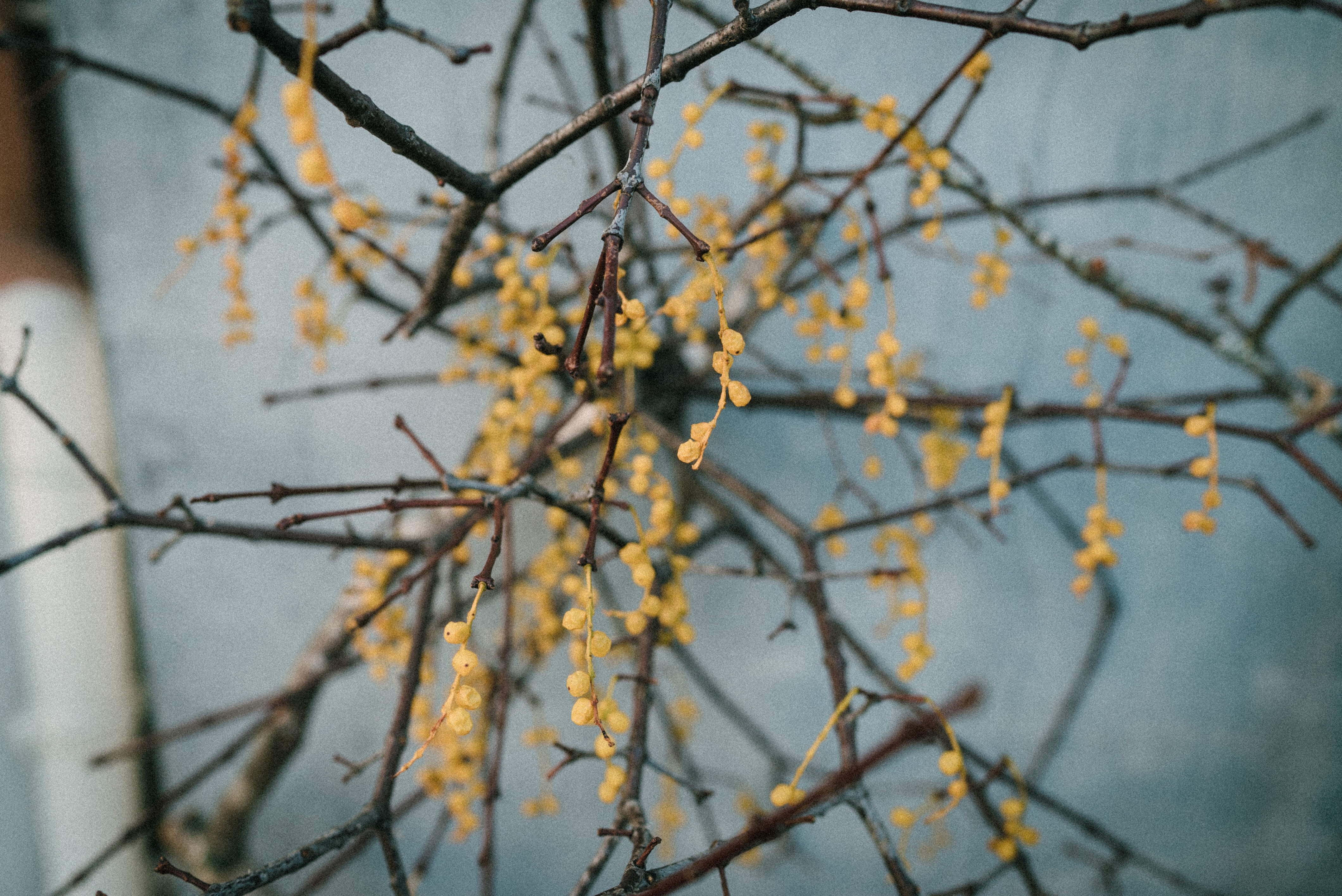 f:id:amilamia:20180129153218j:image f:id:amilamia:20180129153218j:image