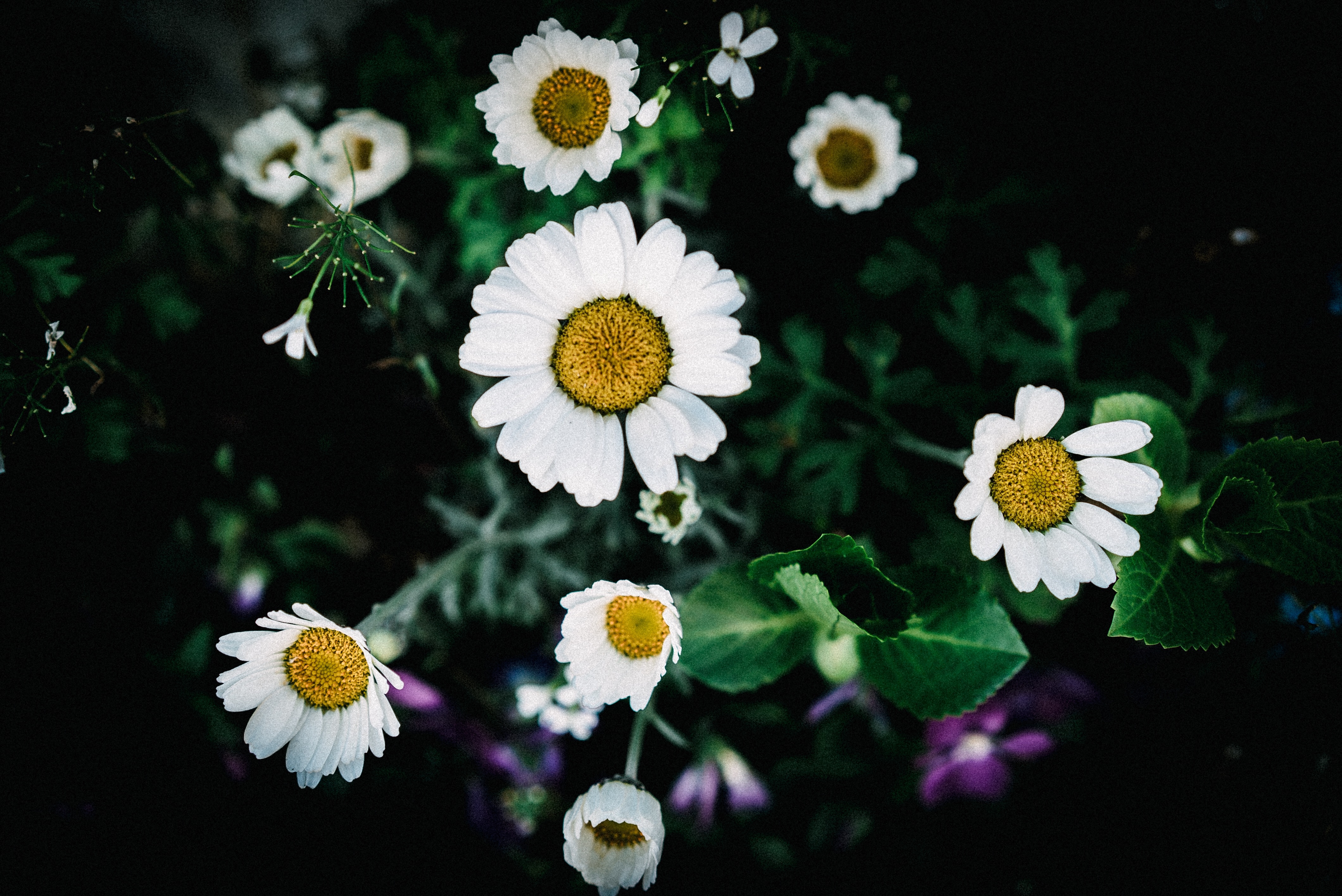 f:id:amilamia:20180319155812j:image