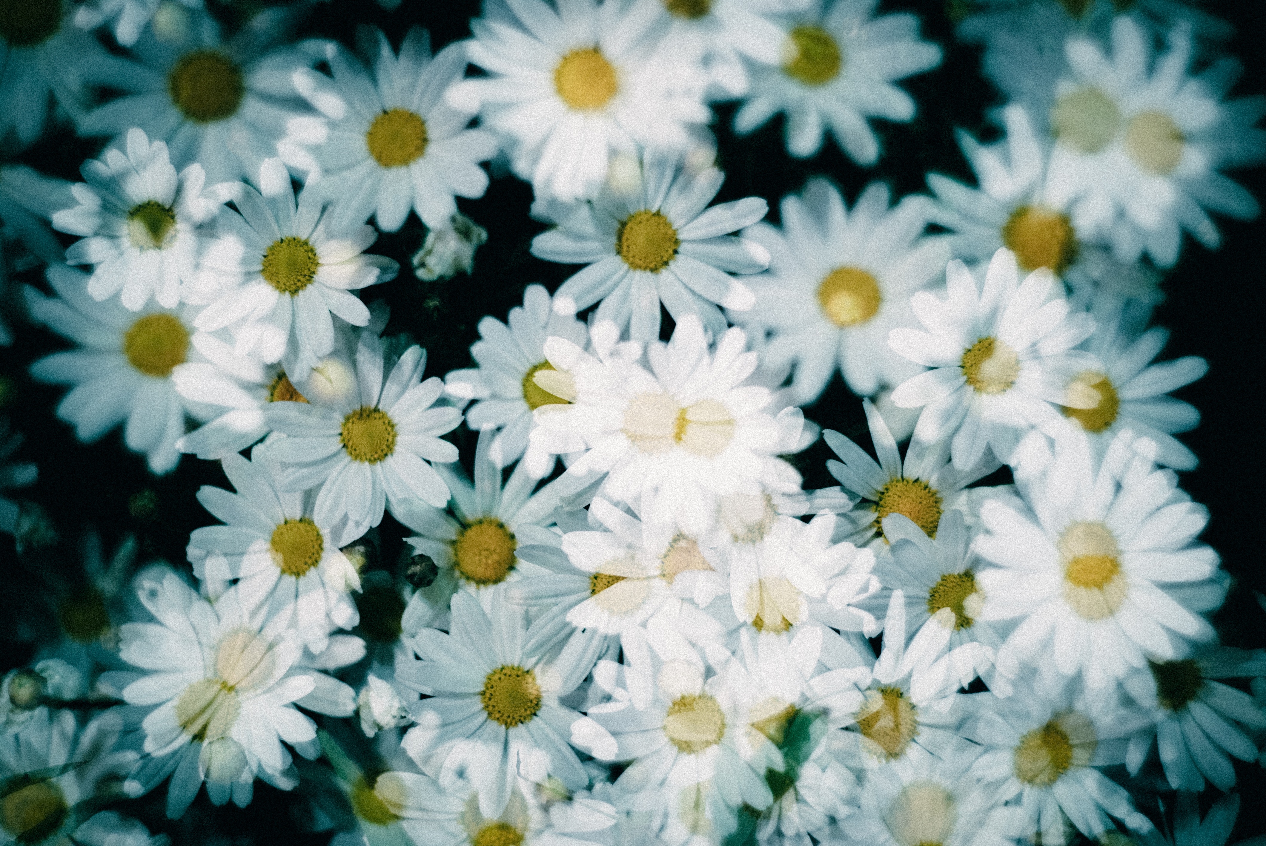 f:id:amilamia:20180319160733j:image