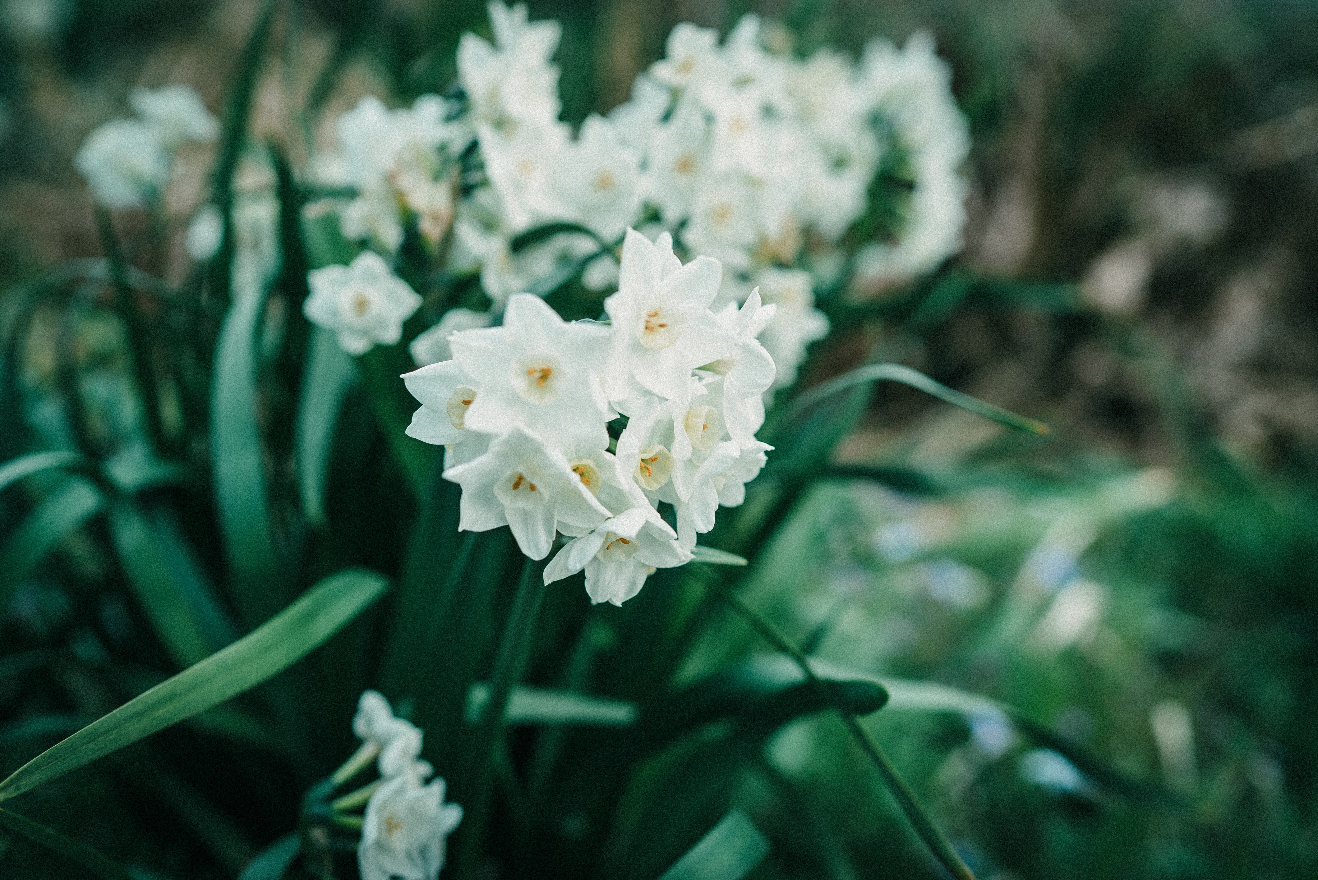 f:id:amilamia:20180402165403j:image f:id:amilamia:20180402165403j:image