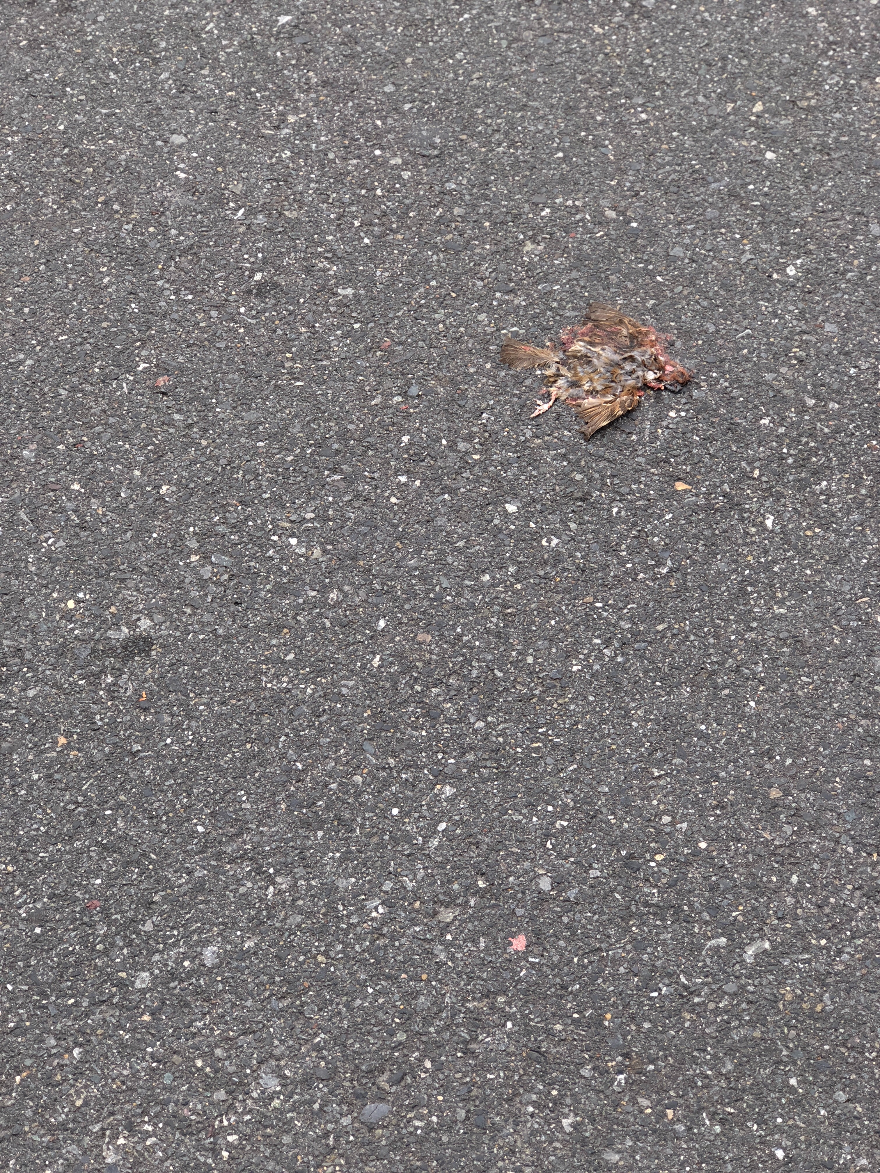 f:id:amilamia:20180412011351j:image f:id:amilamia:20180412011351j:image