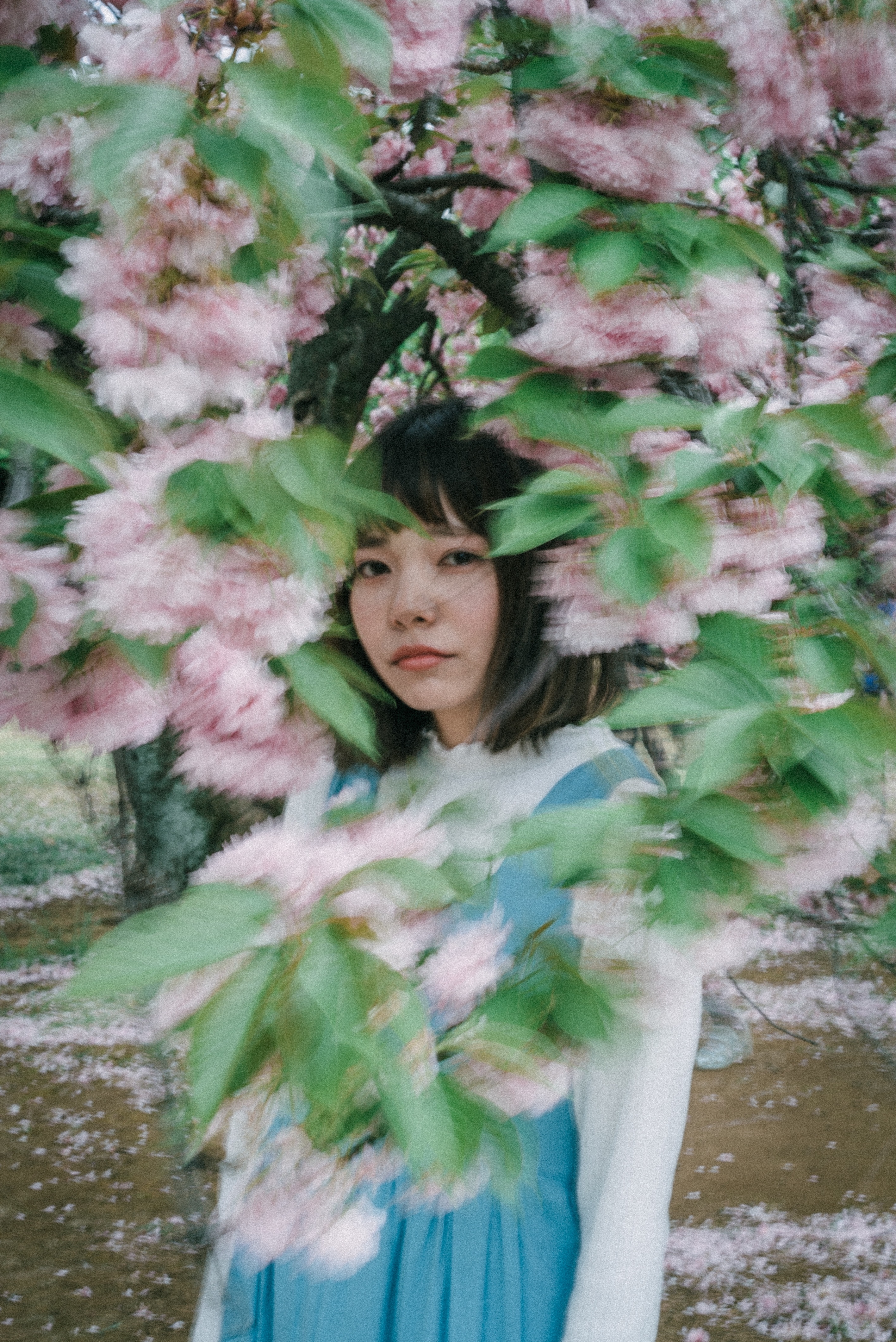 f:id:amilamia:20180416130441j:image