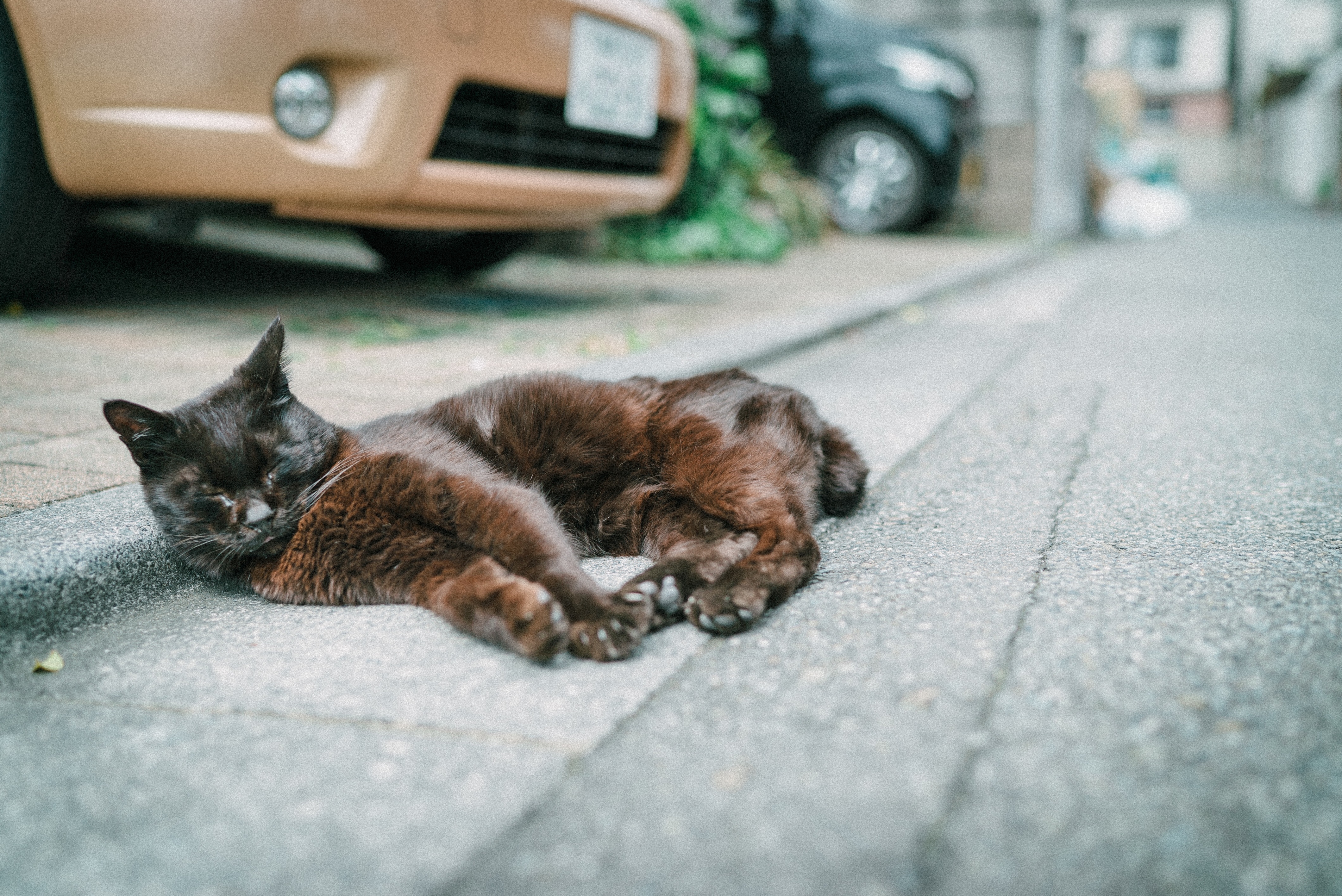 f:id:amilamia:20180419111239j:image