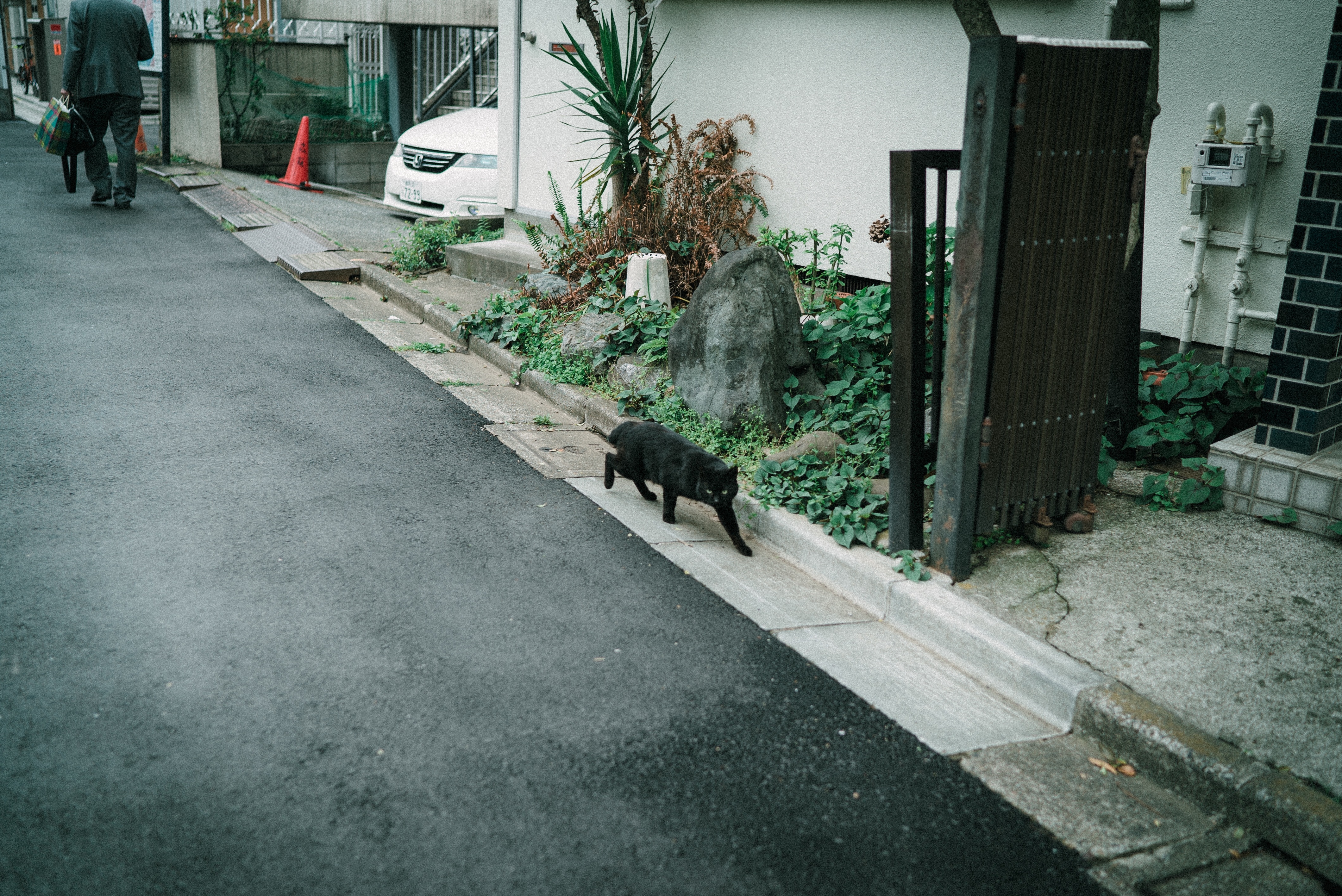 f:id:amilamia:20180419111450j:image