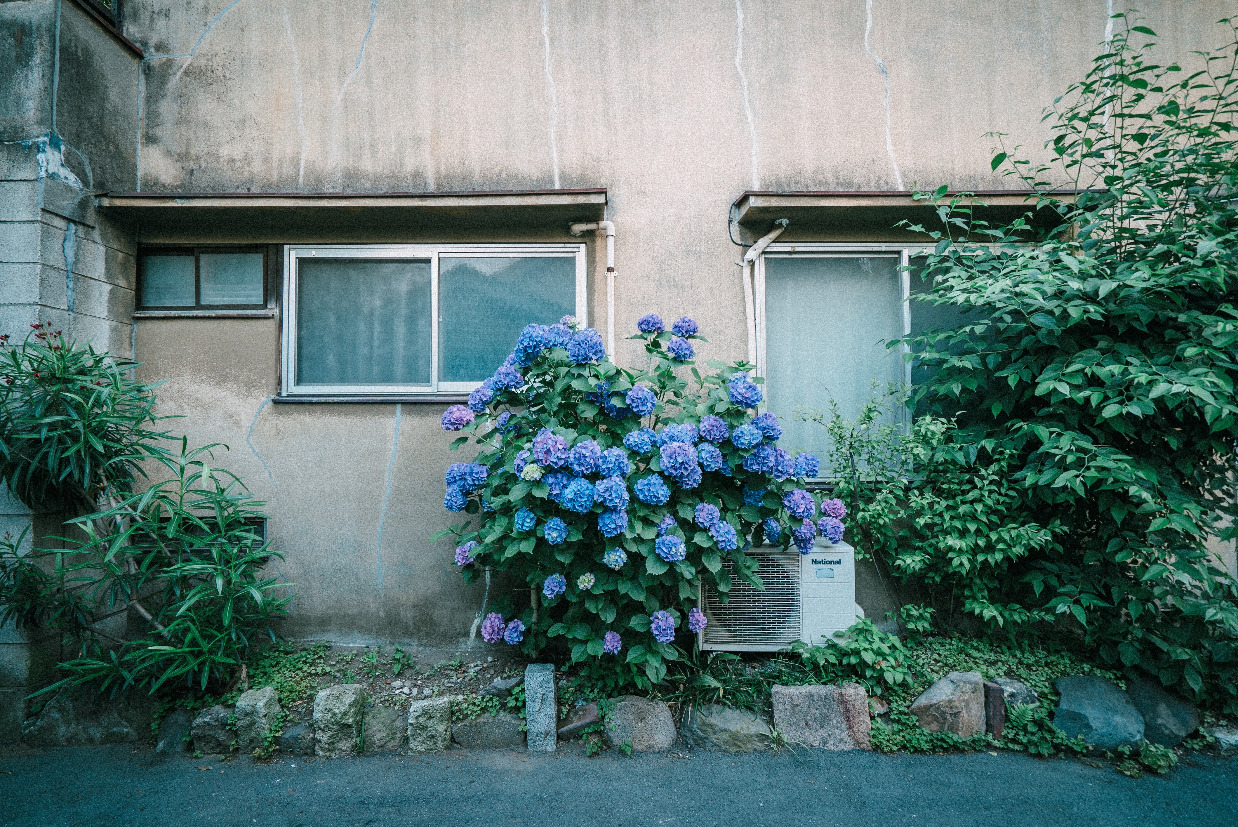 f:id:amilamia:20180528003635j:image