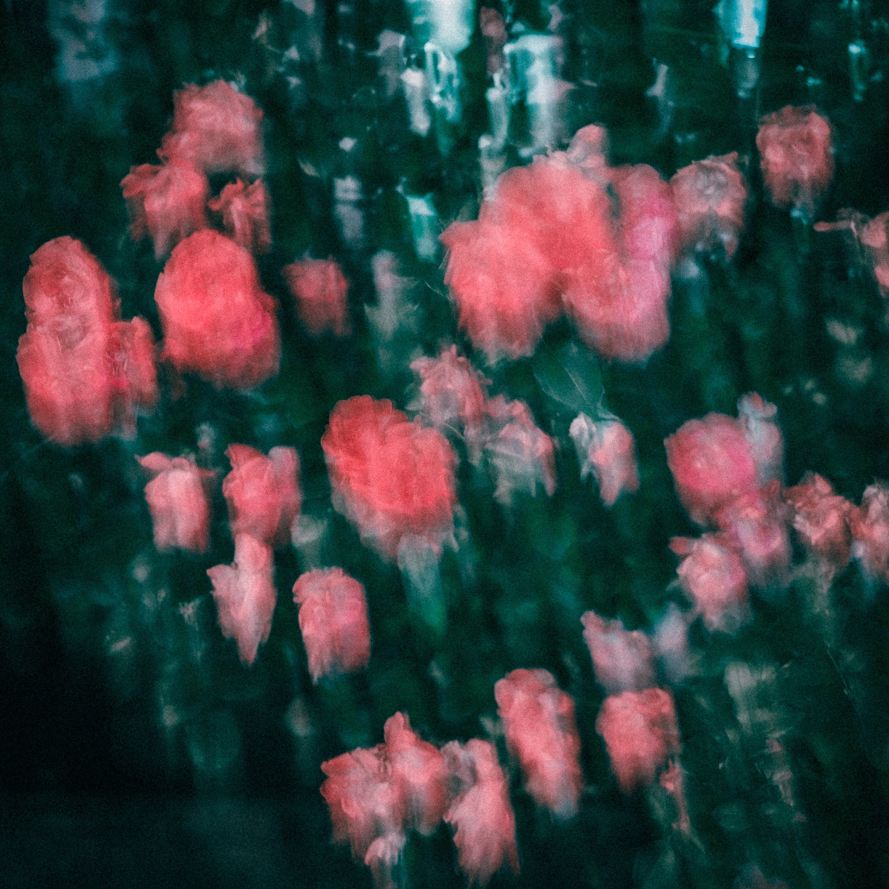 f:id:amilamia:20180607121533j:image