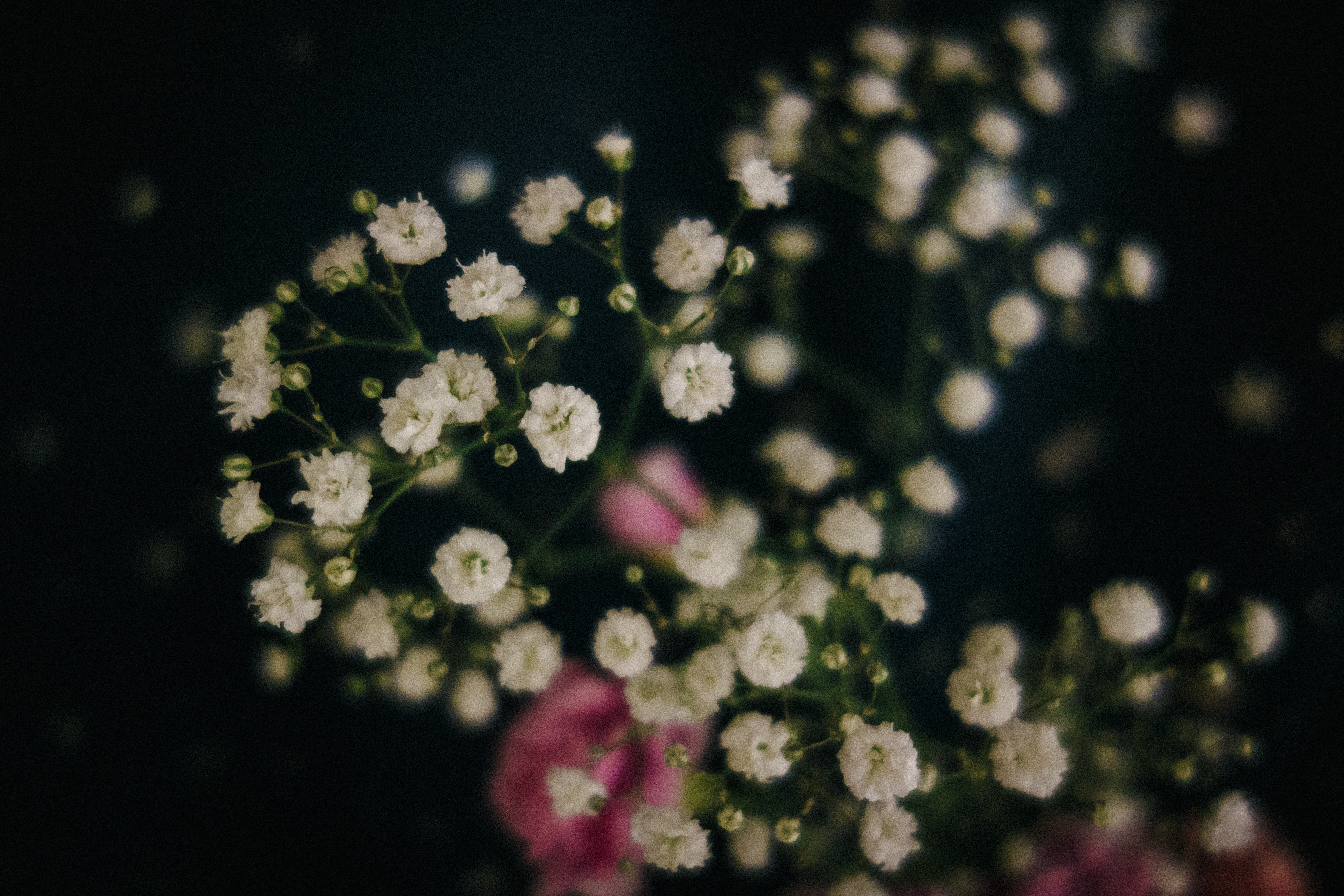 f:id:amilamia:20180731233108j:image f:id:amilamia:20180731233108j:image
