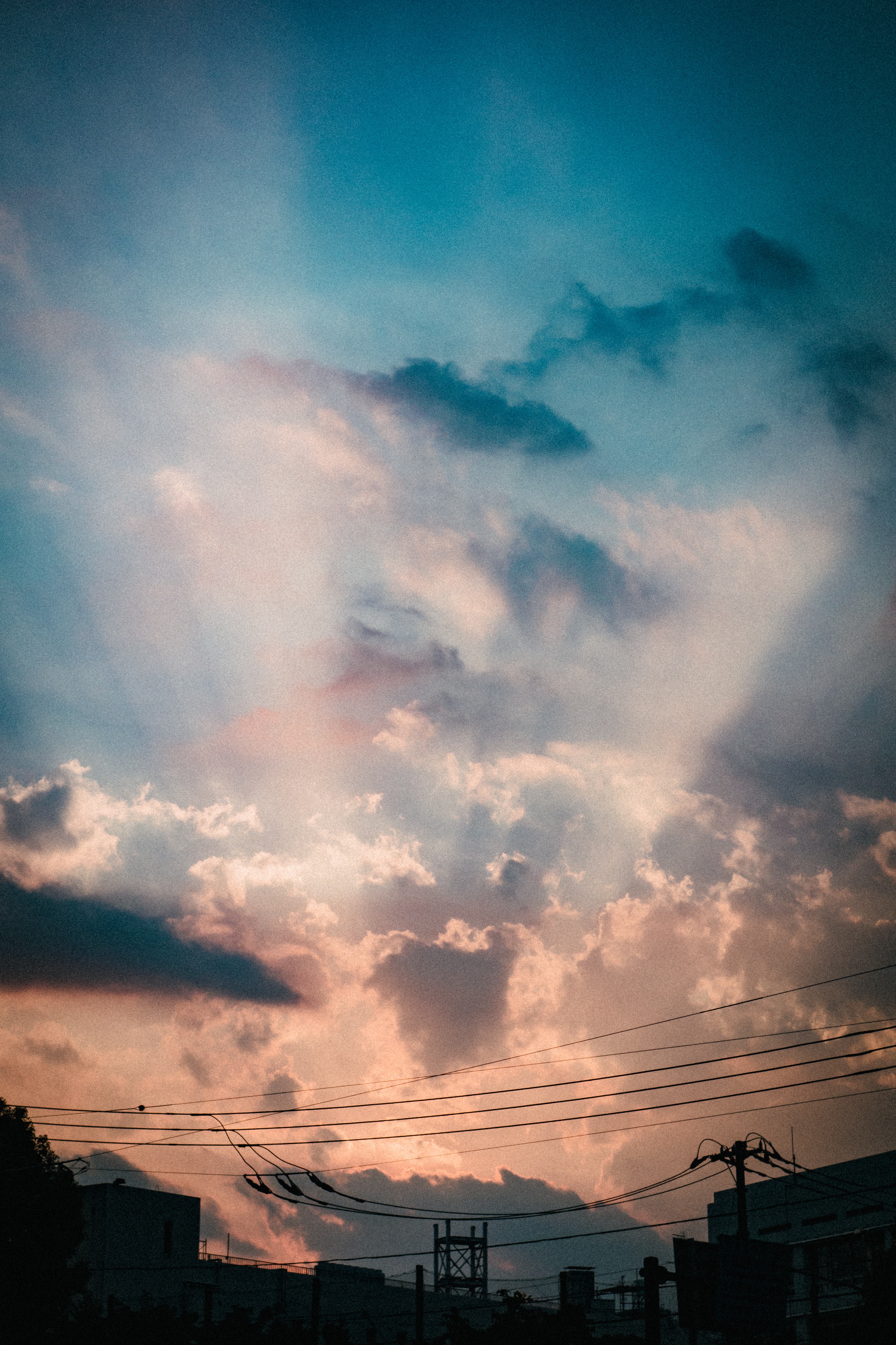 f:id:amilamia:20180731234540j:image f:id:amilamia:20180731234540j:image
