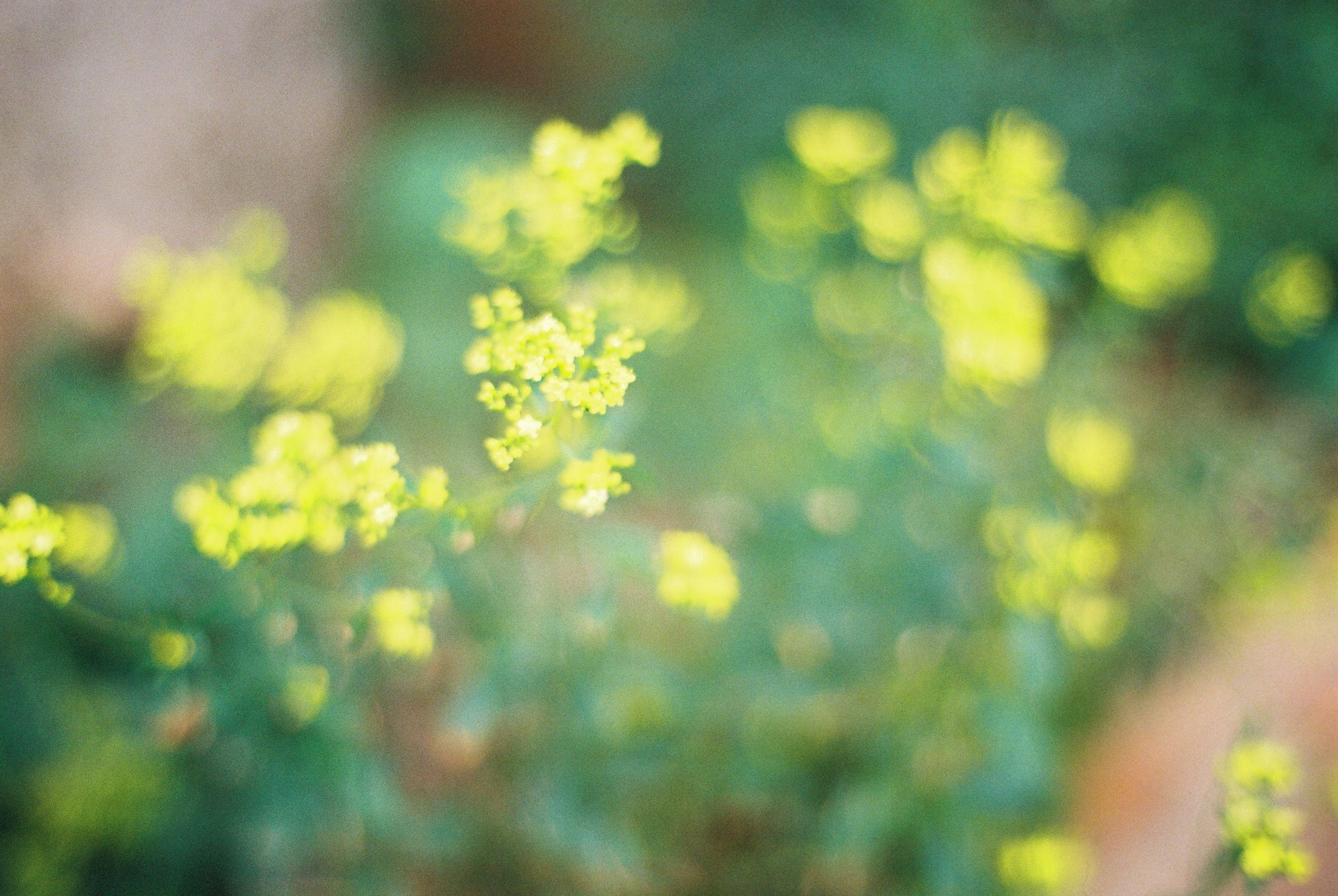 f:id:amilamia:20181016125032j:image