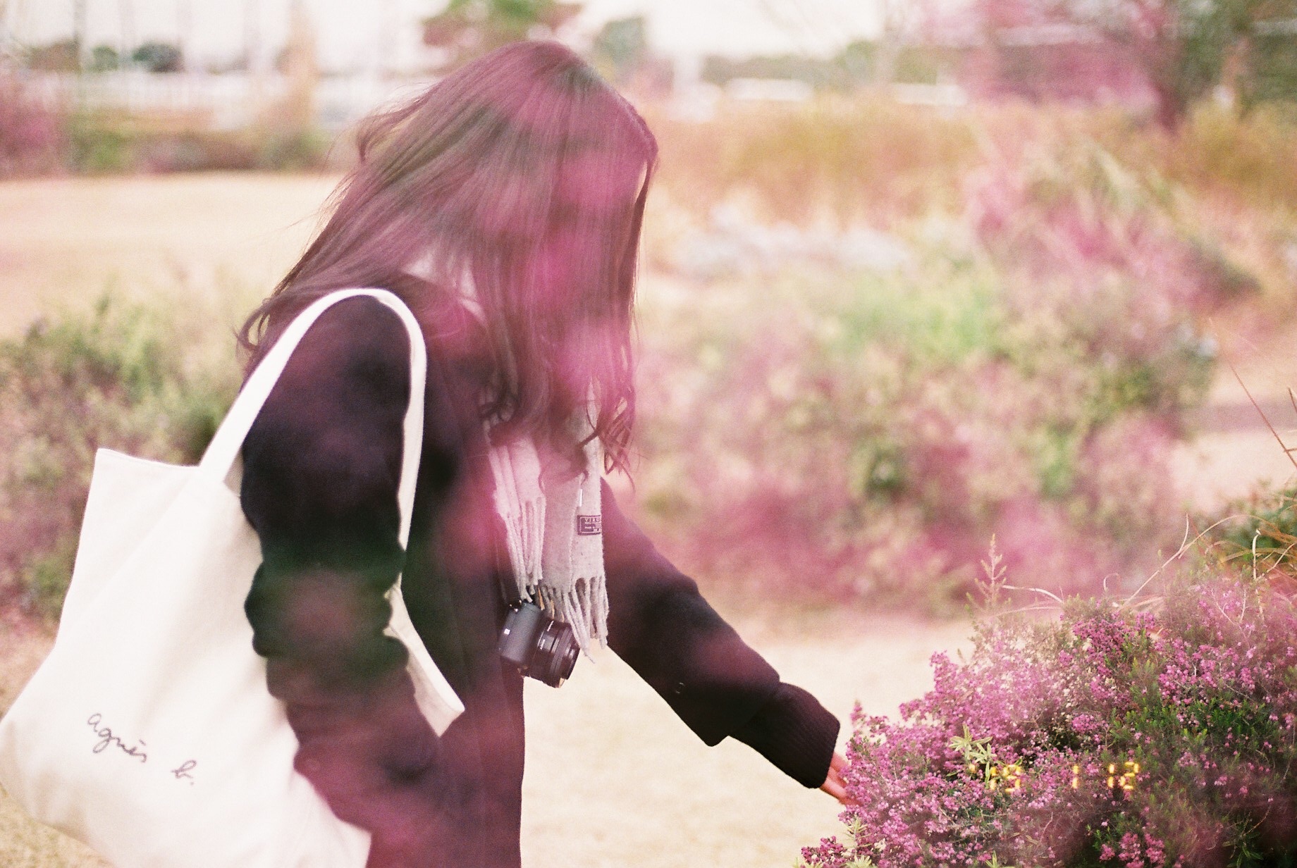 f:id:amilamia:20190115160320j:image