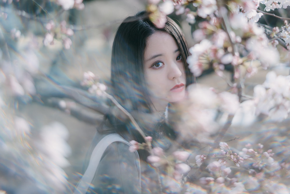 f:id:amilamia:20190328222821j:plain