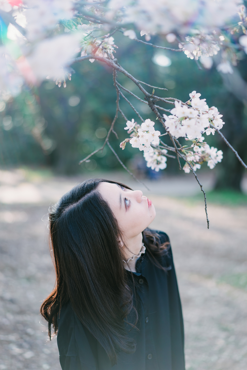 f:id:amilamia:20190328225315j:plain
