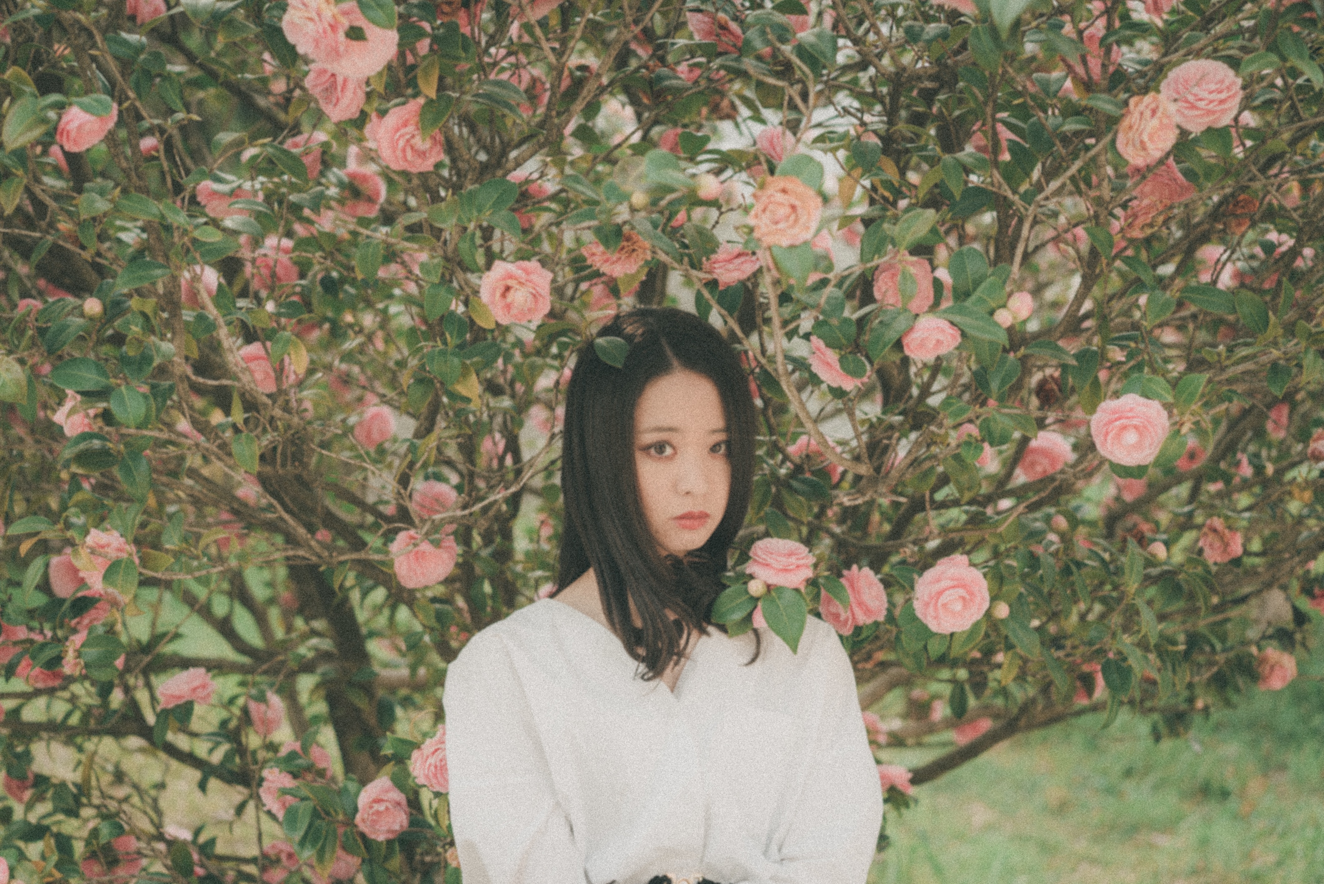 f:id:amilamia:20190412151356j:image
