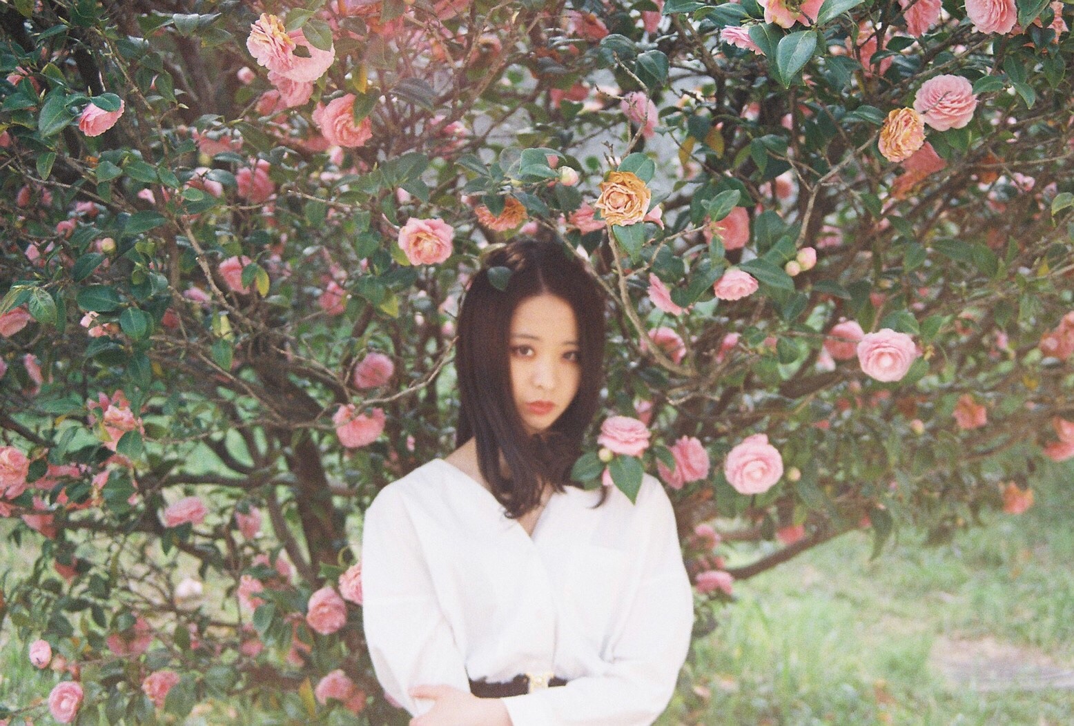 f:id:amilamia:20190412151409j:image