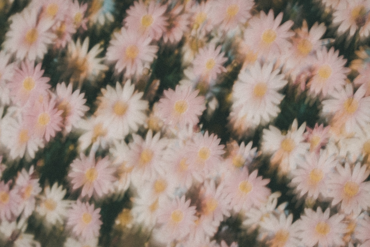 f:id:amilamia:20190507171403j:plain f:id:amilamia:20190507171403j:plain