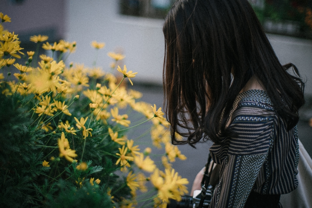 f:id:amilamia:20190507171820j:plain f:id:amilamia:20190507171820j:plain