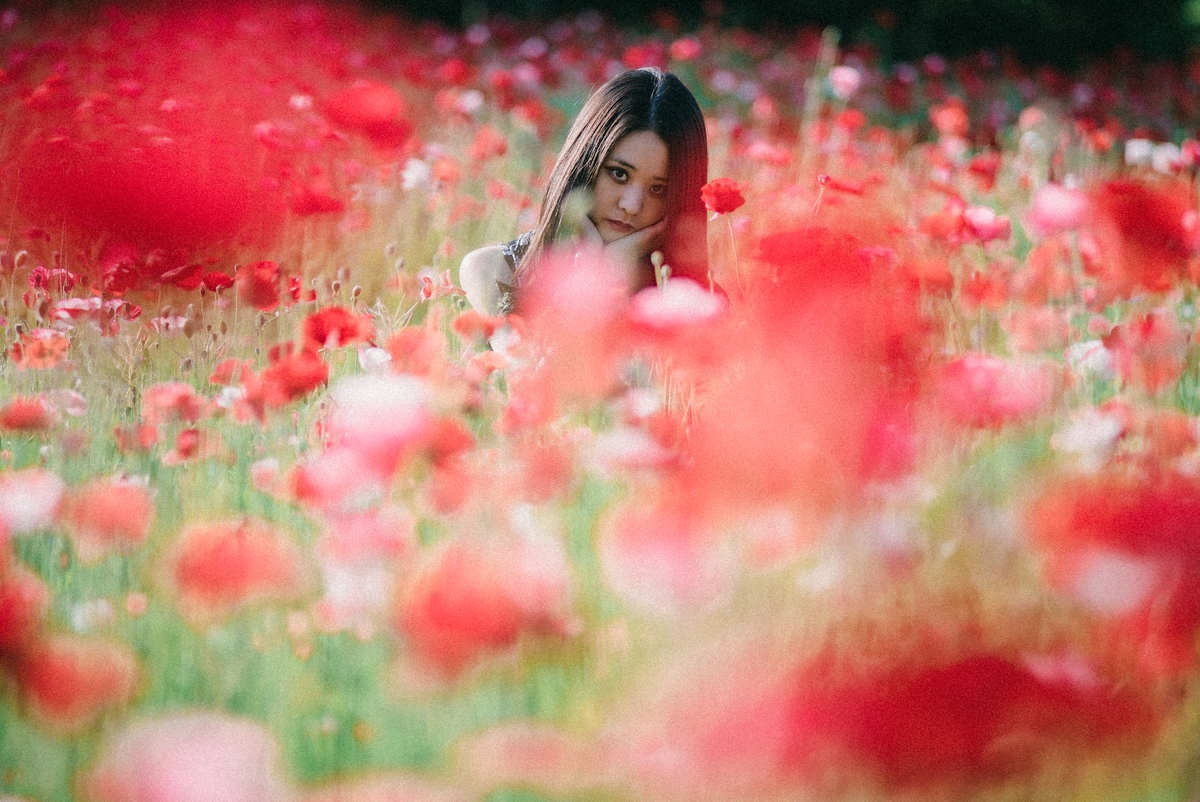 f:id:amilamia:20190520020757j:plain f:id:amilamia:20190520020757j:plain