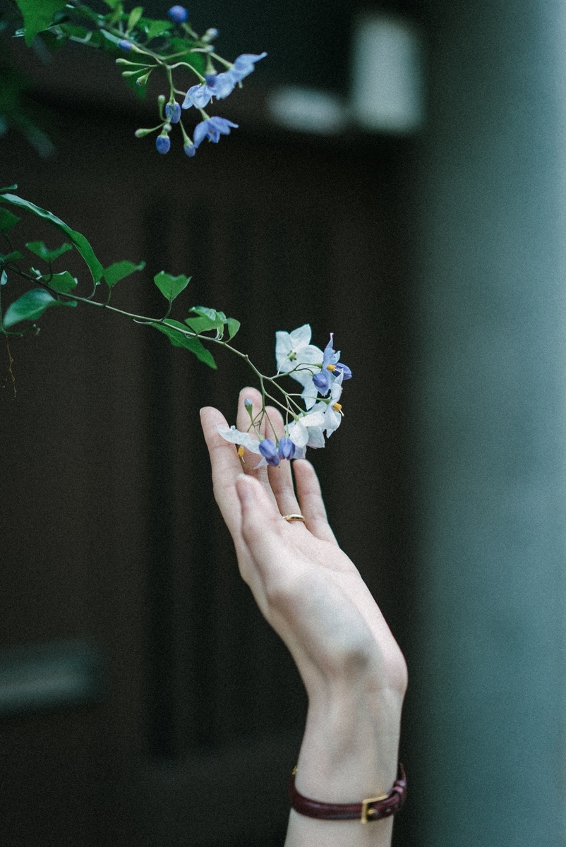 f:id:amilamia:20190723162408j:plain