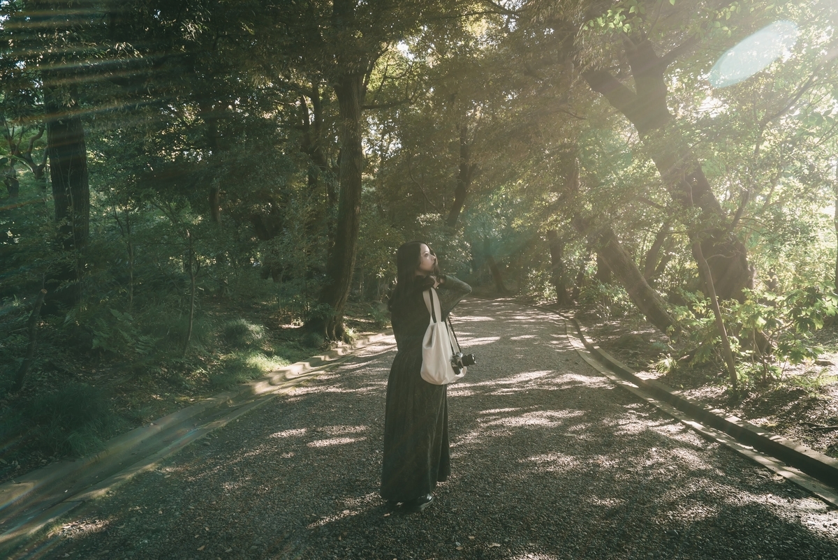 f:id:amilamia:20191112173547j:plain