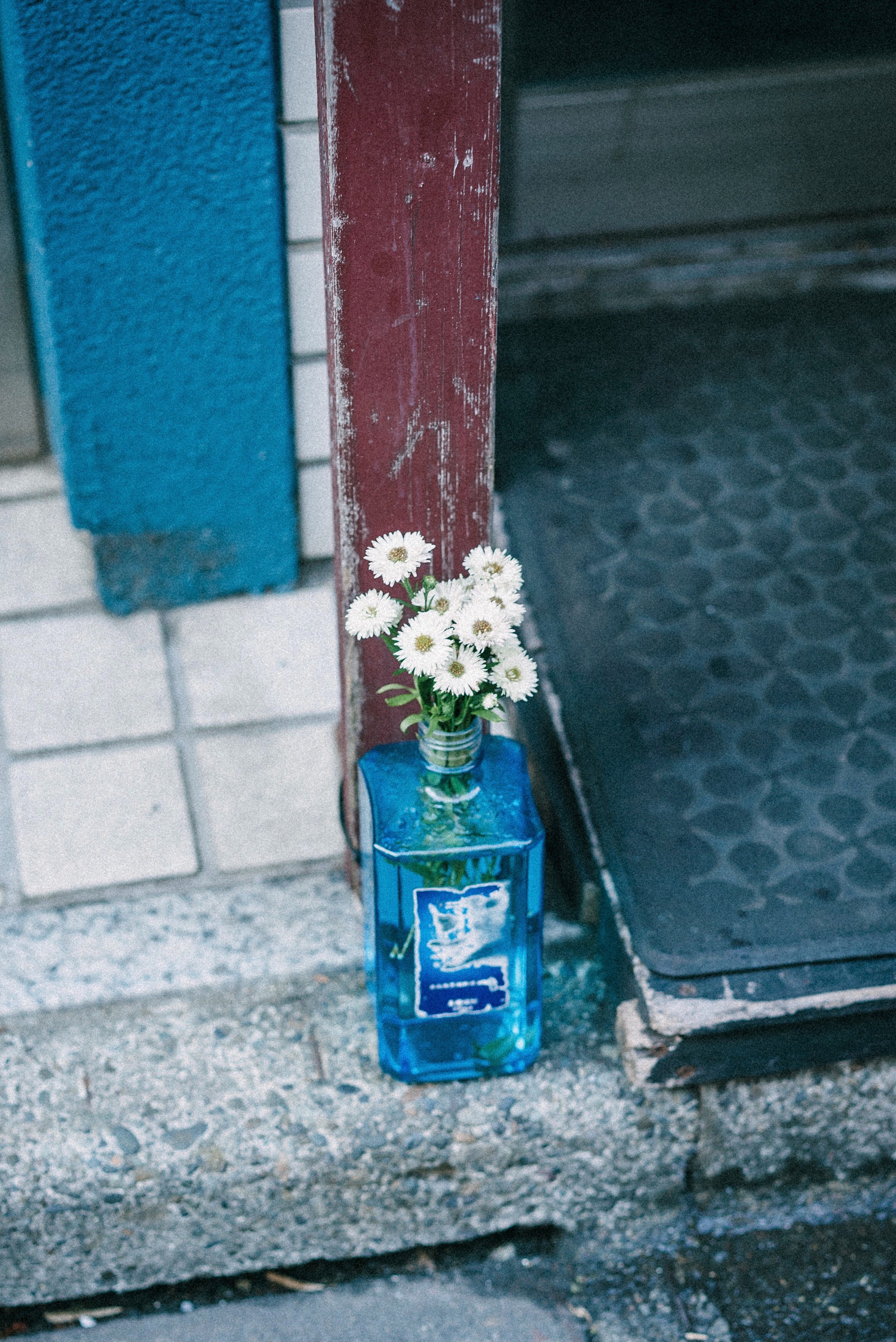 f:id:amilamia:20211122015330j:plain