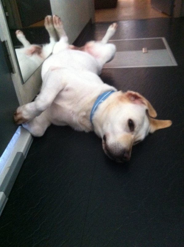 f:id:amiliuxue:20120708155356j:image