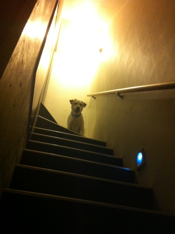 f:id:amiliuxue:20120708192626j:image