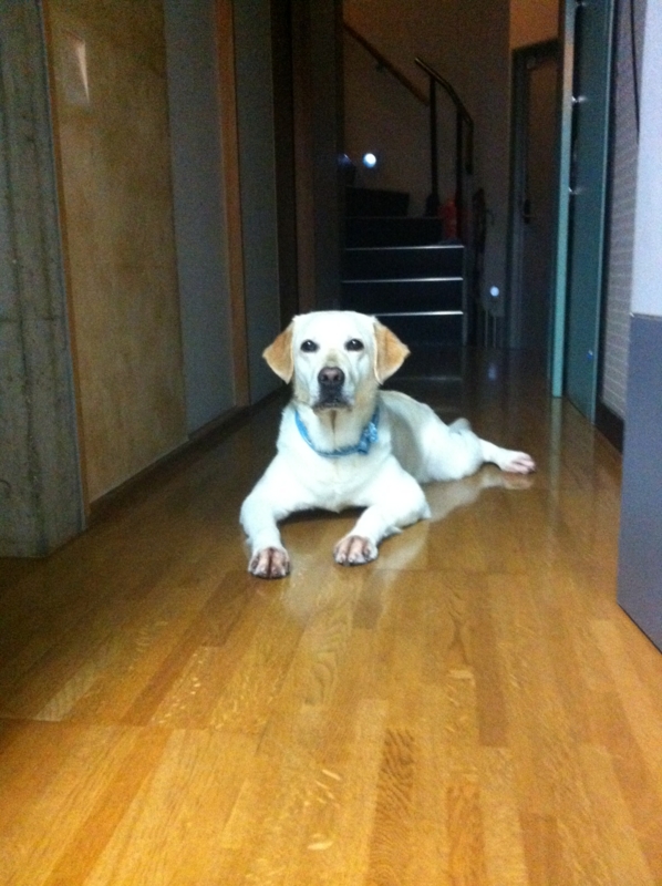 f:id:amiliuxue:20120708193739j:image