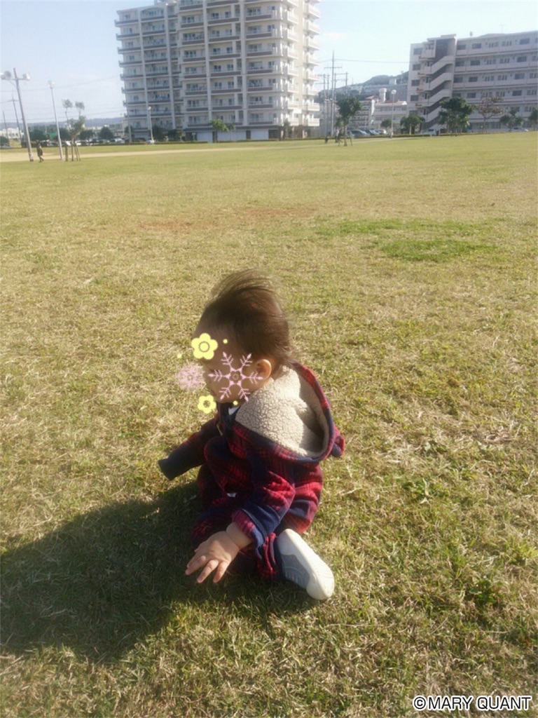 f:id:amilog:20170122183759j:image f:id:amilog:20170122183759j:image