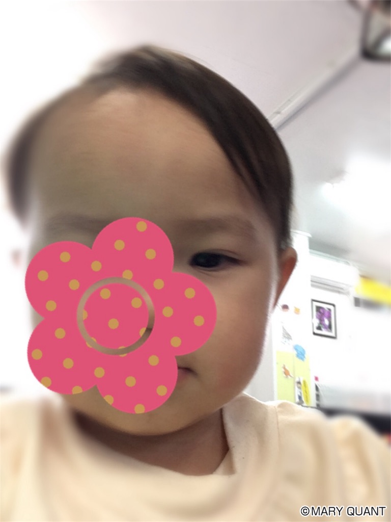 f:id:amilog:20170129155952j:image f:id:amilog:20170129155952j:image