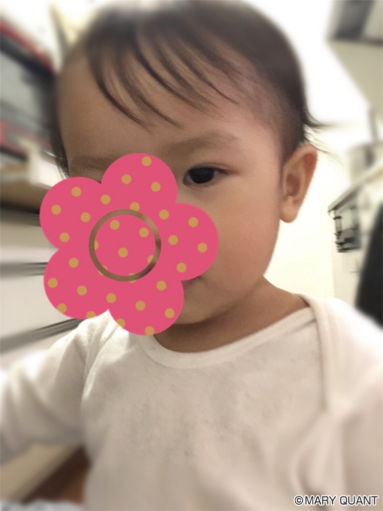 f:id:amilog:20170129155956j:image f:id:amilog:20170129155956j:image