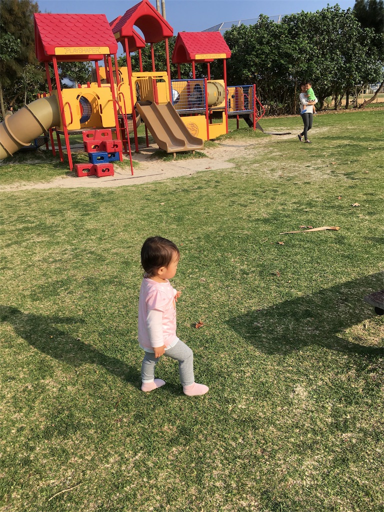 f:id:amilog:20170414231050j:image