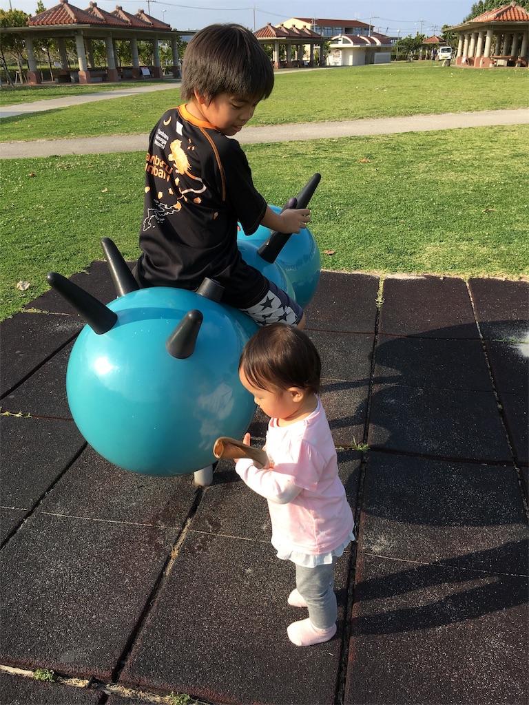 f:id:amilog:20170414231325j:image