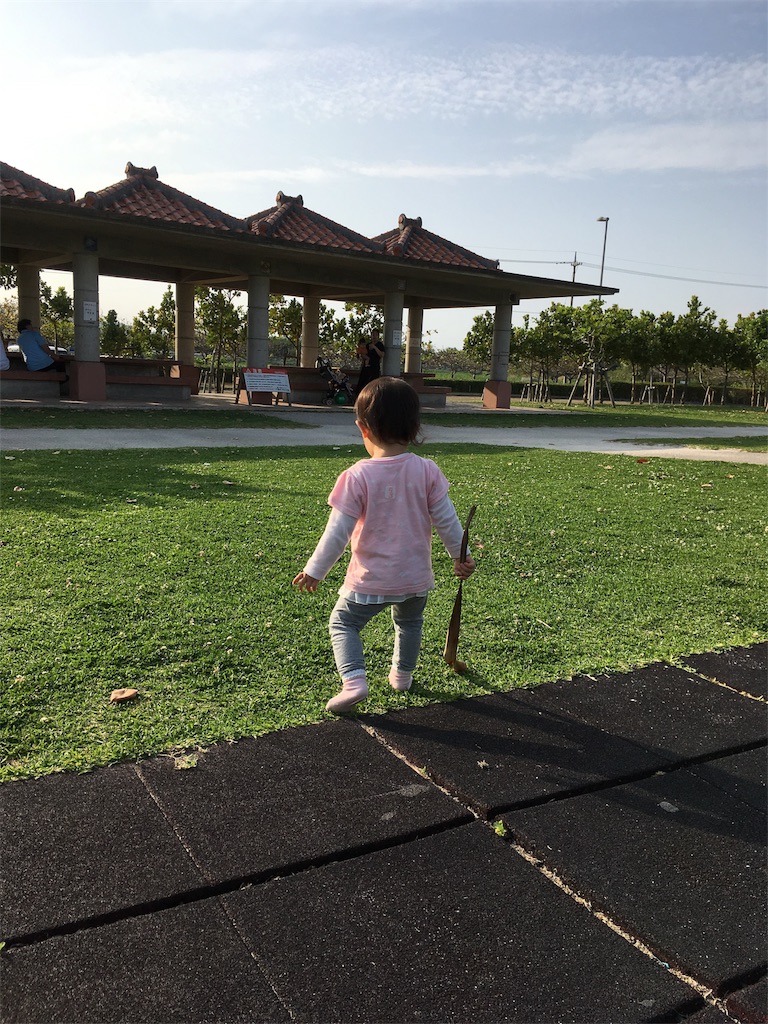 f:id:amilog:20170414231359j:image