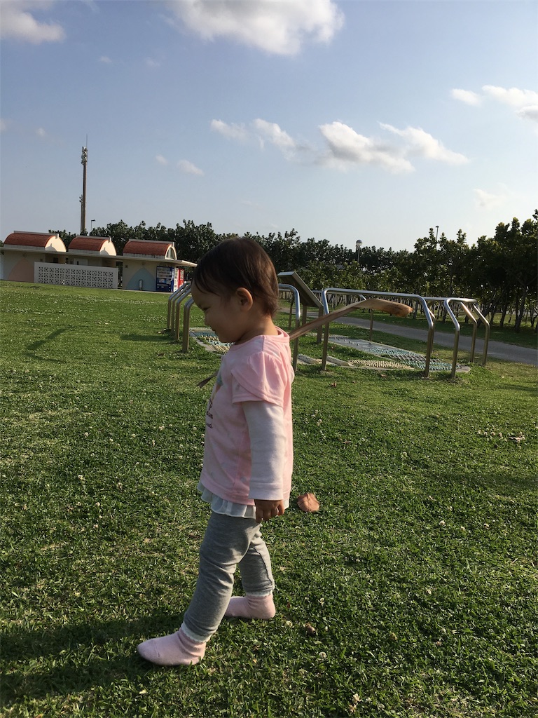 f:id:amilog:20170414231406j:image