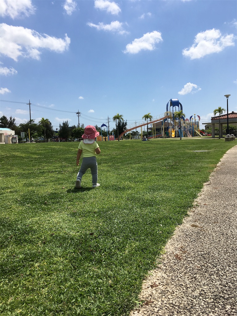 f:id:amilog:20170501223102j:image