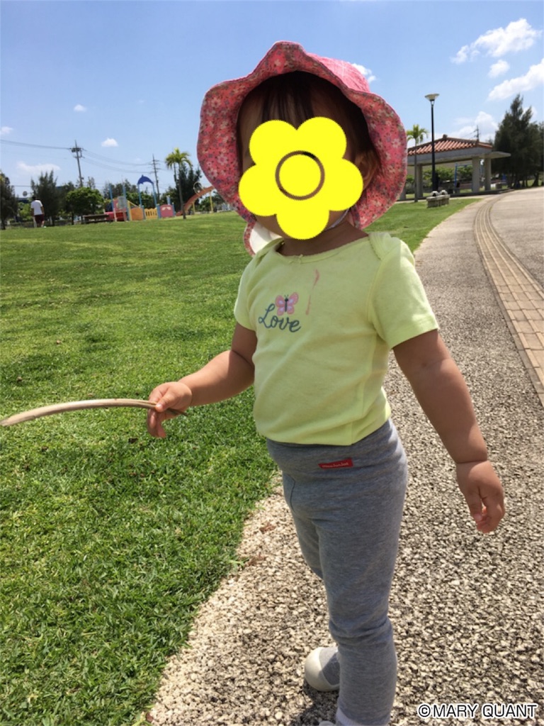 f:id:amilog:20170501224241j:image