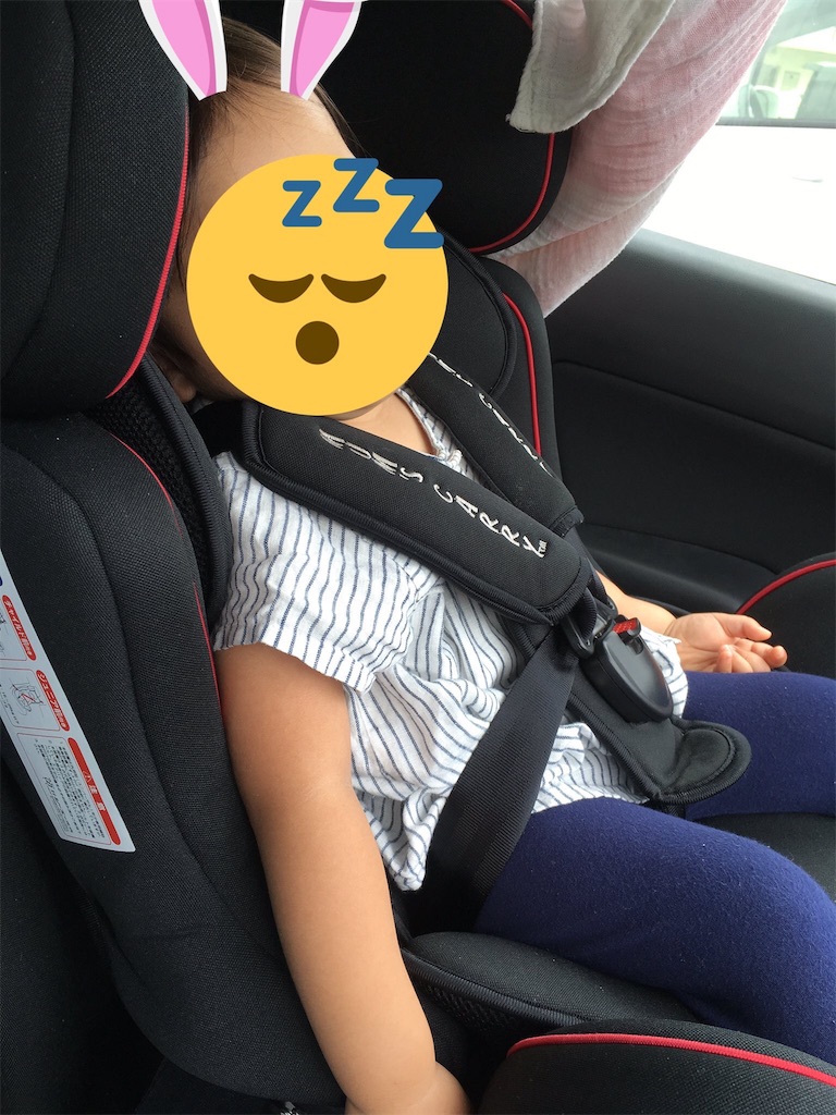 f:id:amilog:20170601174959j:image f:id:amilog:20170601174959j:image