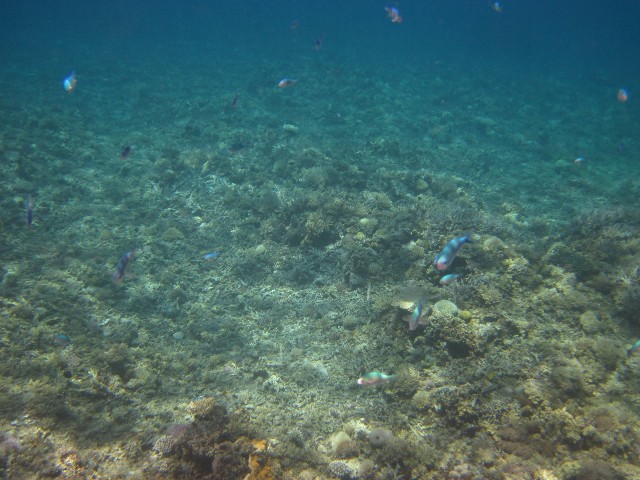 f:id:amimor:20200719130657j:image f:id:amimor:20200719130657j:image