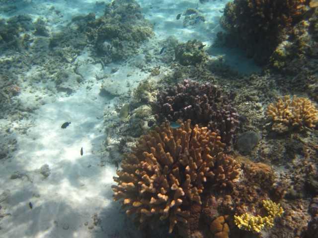 f:id:amimor:20200719131557j:image f:id:amimor:20200719131557j:image