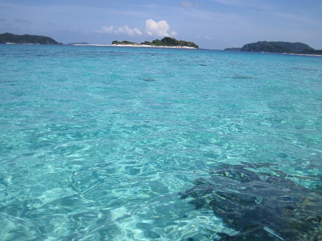 f:id:amimor:20200719131804j:image f:id:amimor:20200719131804j:image